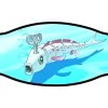 Best Divers cinturino in neoprene toy