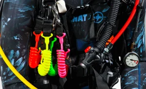 Best Divers CLIP COLOR STANDARD