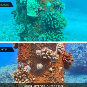 Best Divers DIVEVOLK FILTRO ROSSO Ø 67 mm