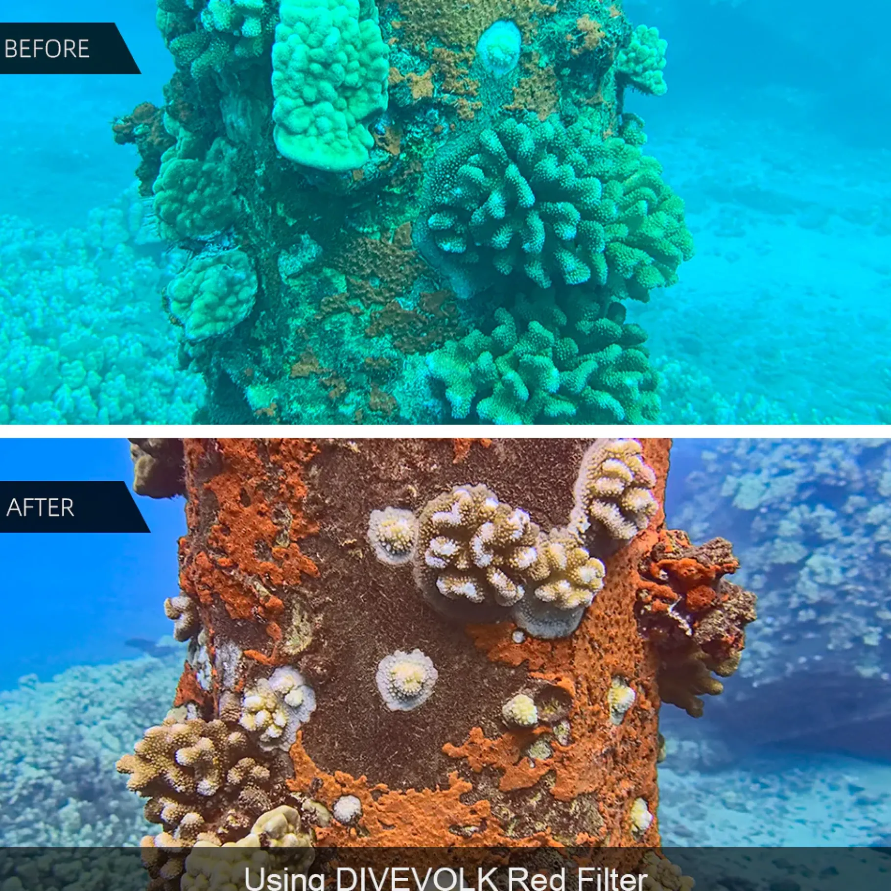 divevolk_filtro_rosso___m_3.webp Best Divers DIVEVOLK FILTRO ROSSO Ø 67 mm
