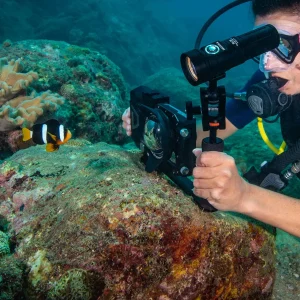 Best Divers DIVEVOLK ILLUMINATORE 2000 LUMEN