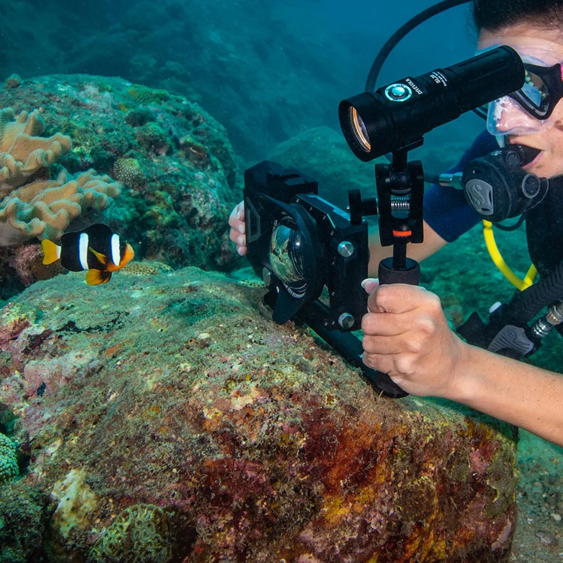 divevolk_illuminatore__lu_3.webp Best Divers DIVEVOLK ILLUMINATORE 2000 LUMEN