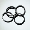Best Divers O-RING POSTERIORE PER PULSAR, X-HUNT